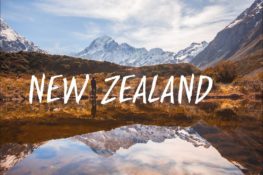 New Zealand Road Trip – A Travel Love...