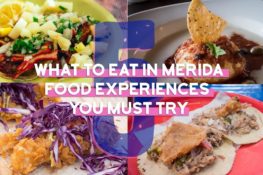 What to Eat in Merida 5 Food Experiences...