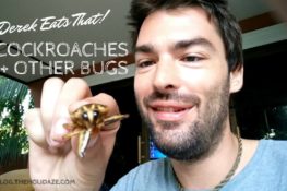 Eating Cockroach in Pattaya mmmm ― Derek Eats...